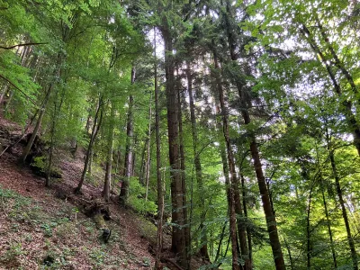 Grundstück kaufen in Hermagor – 37 976 m², € 3 – Bild 12 von 24