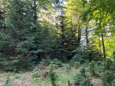 Grundstück kaufen in Hermagor – 37 976 m², € 3 – Bild 24 von 24