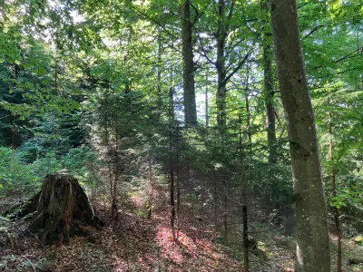 Grundstück kaufen in Hermagor – 37 976 m², € 3 – Bild 16 von 24