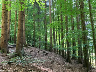 Grundstück kaufen in Hermagor – 37 976 m², € 3 – Bild 5 von 24