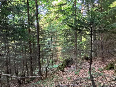 Grundstück kaufen in Hermagor – 37 976 m², € 3 – Bild 18 von 24