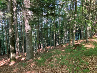 Grundstück kaufen in Hermagor – 37 976 m², € 3 – Bild 15 von 24