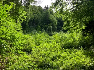 Grundstück kaufen in Hermagor – 37 976 m², € 3 – Bild 9 von 24
