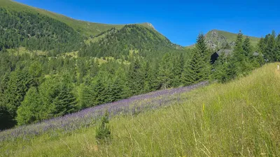 5-Zimmer-Immobilie kaufen in Feldkirchen – 173 m², € 1.195.000 – Bild 8 von 13