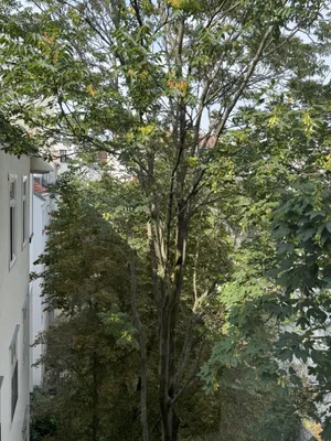 3-Zimmer-Wohnung kaufen in Wien – 87,6 m², € 429.000 – Bild 24 von 27
