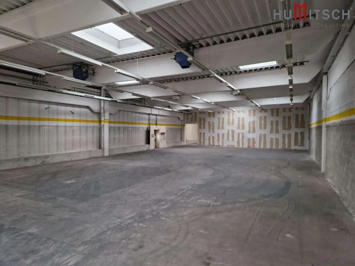 Hallen-/Lagerfläche im FMZ Webling – pohled 2