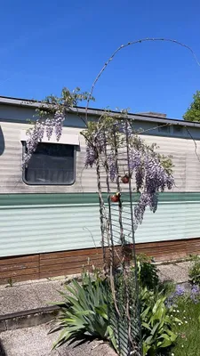 4-Zimmer-Immobilie kaufen in Eisenstadt - Umgebung – 39 m², € 30.000 – Bild 7 von 10