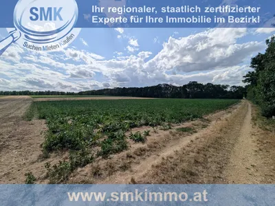 Grundstück kaufen in Hollabrunn – 10 161 m², € 101.610 – Bild 5 von 6