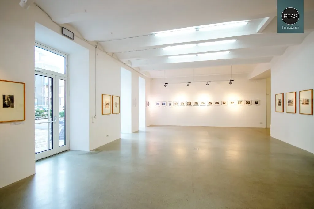 Loft in Hoflage der Brotfabrik Wien! - Ansicht 3