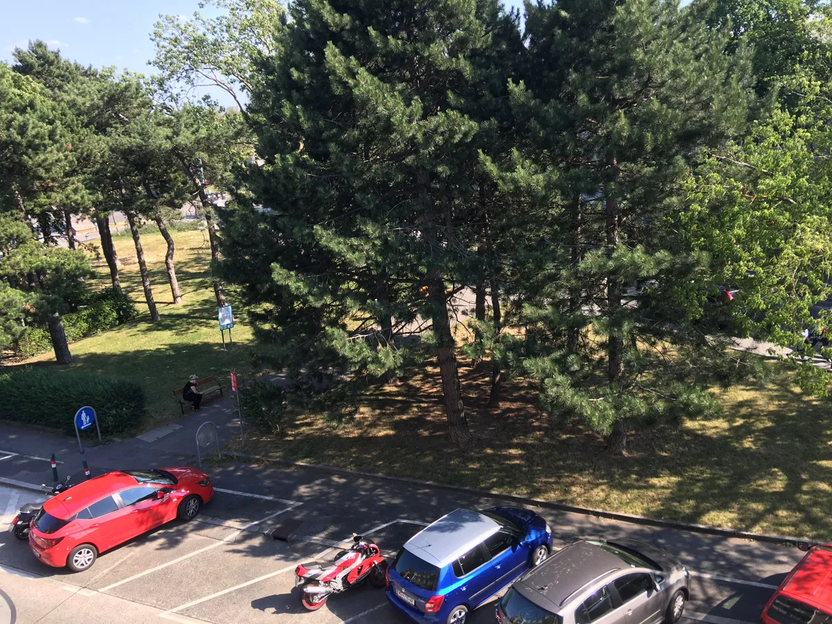 Wohnung – Wien - Ansicht 2
