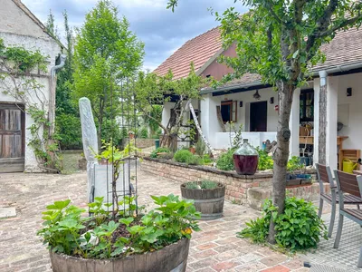 7-Zimmer-Haus kaufen in Mistelbach – 207 m², € 698.000 – Bild 3 von 20