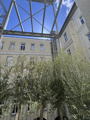 2-Zimmer-Wohnung kaufen in Wien – 58 m², € 399.000 – Bild 4 von 11