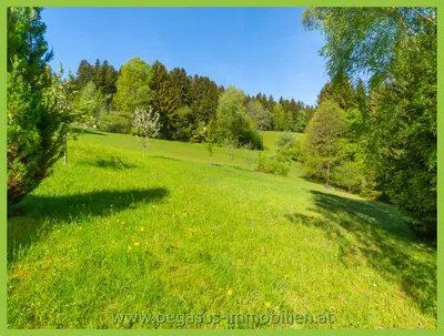 Grundstück kaufen in Weiz – 2 020 m², € 159.000 – Bild 3 von 5