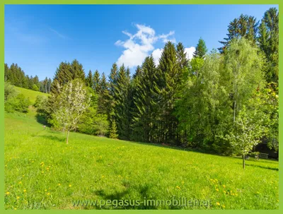 Grundstück kaufen in Weiz – 2 020 m², € 159.000 – Bild 2 von 5