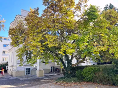 4-Zimmer-Gewerbeimmobilie mieten in Wiener Neustadt – 108 m², € 1.381 – Bild 24 von 26