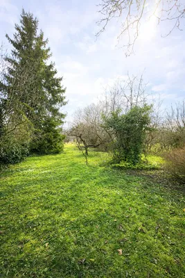 Haus kaufen in Baden – 233 m², € 650.000 – Bild 5 von 16