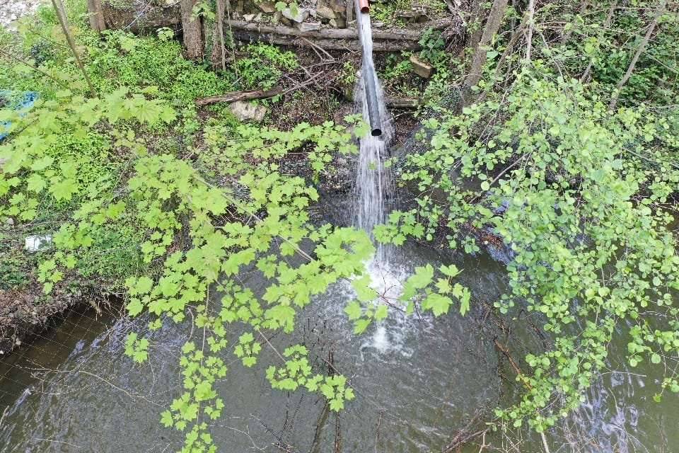 Fischzucht Teichwitschaft 10 Teiche - Ansicht 3