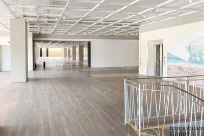 Gewerbeimmobilie kaufen in Wels – 23 015 m², € 8.500.000 – Bild 3 von 18