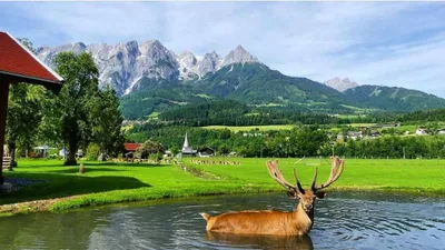 Grundstück kaufen in Sankt Johann im Pongau – 397 000 m² – Bild 3 von 21
