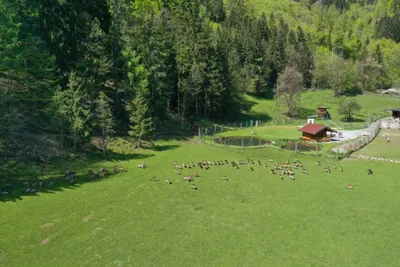 Grundstück kaufen in Sankt Johann im Pongau – 397 000 m² – Bild 7 von 21