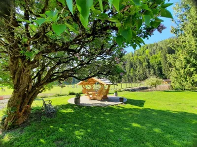 Grundstück kaufen in Sankt Johann im Pongau – 397 000 m² – Bild 13 von 21