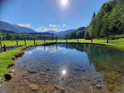 Grundstück kaufen in Sankt Johann im Pongau – 397 000 m² – Bild 15 von 21