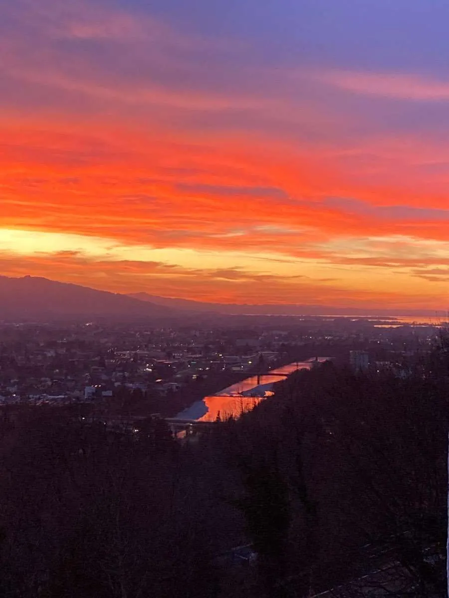 Reihenhaus mit Ausblick übers Rheintal - Ansicht 3