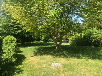 1-Zimmer-Wohnung mieten in Linz – 35 m², € 463 – Bild 10 von 10