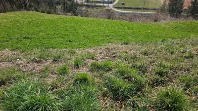 Grundstück kaufen in Villach Land – 900 m², € 63.000 – Bild 6 von 13