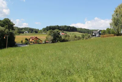 Grundstück zum Kauf in 8311 Weiz