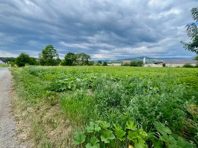 Immobilie kaufen in Deutschlandsberg – 8 000 m², € 440.000 – Bild 2 von 4