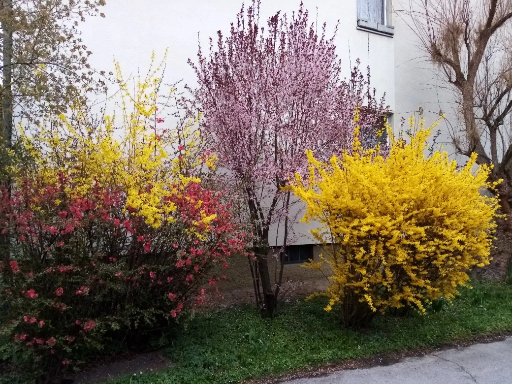 2 Zimmerwohnung mit Garten und Stellplatz - Widok 3