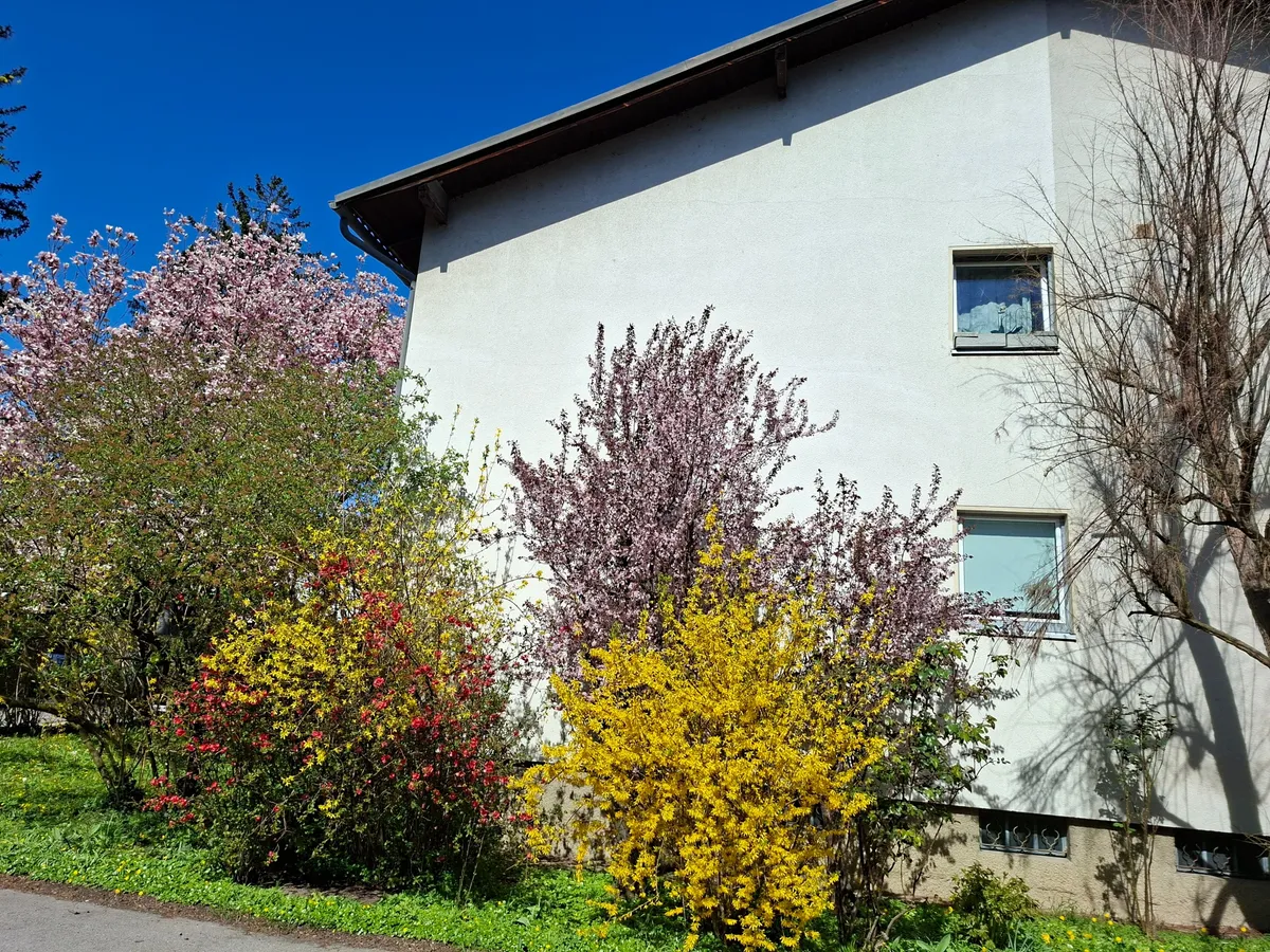 2 Zimmerwohnung mit Garten und Stellplatz - Widok 2