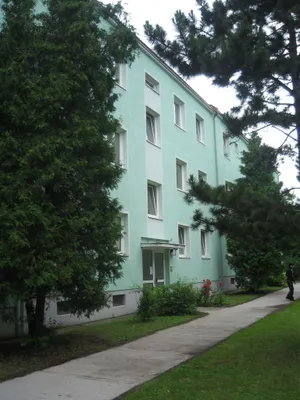 2-Zimmer-Wohnung mieten in Wiener Neustadt – 59,38 m², € 487