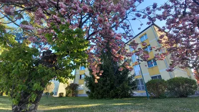 2-Zimmer-Wohnung mieten in Wiener Neustadt Land – 52 m², € 650 – Bild 17 von 23