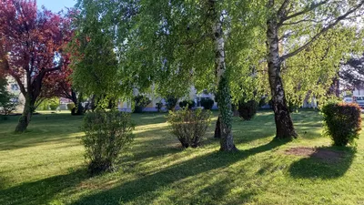 2-Zimmer-Wohnung mieten in Wiener Neustadt Land – 52 m², € 650 – Bild 18 von 23
