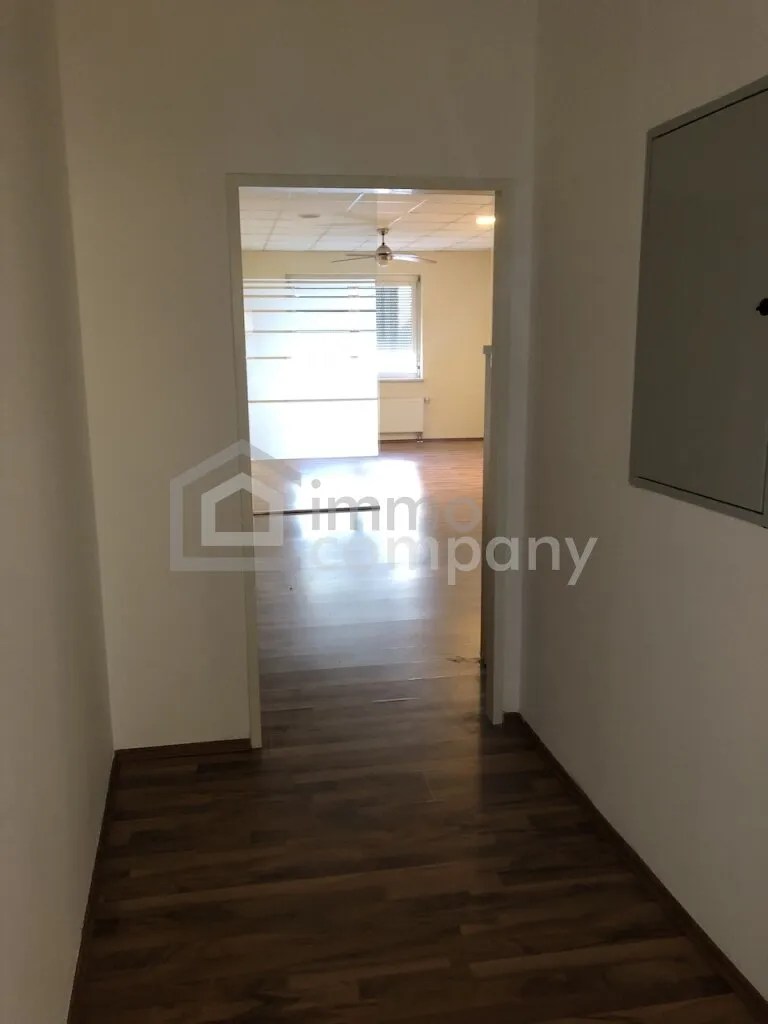 Büro, Seminarraum oder Studio in Jennersdorf zur Miete - Ansicht 3