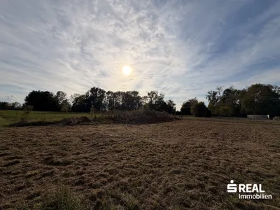 Immobilie kaufen in Perg – 1 425 m², € 142.500 – Bild 6 von 7