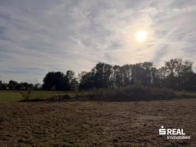 Immobilie kaufen in Perg – 1 425 m², € 142.500 – Bild 3 von 7
