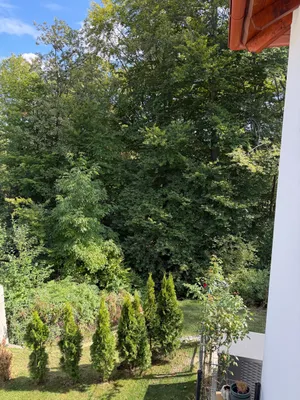 3-Zimmer-Wohnung mieten in Graz-Umgebung – 70 m², € 980 – Bild 5 von 15