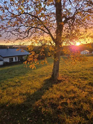 Grundstück kaufen in Oberwart – 2 300 m², € 241.500 – Bild 2 von 6