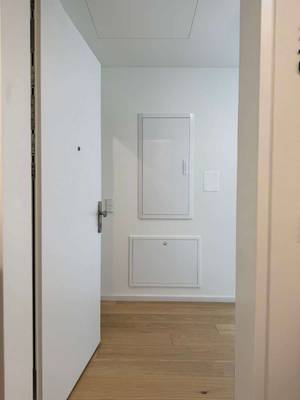 Erstbezug: Luxus-Smart-Home, Moderne Einbauküche inkl. alle E-Geräten, Balkon, Donaublick, Panorama über Wien,|Rooftop-Pool, Sauna, Fitness. Ideal für Paare, Expats, internationale Fachkräfte. Bruttomiete inkl. BK 1390€ - Keine Maklerprovision