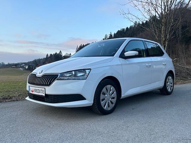Skoda Fabia 1,0 mit 8-fach Bereifung & möglicher SOFO...