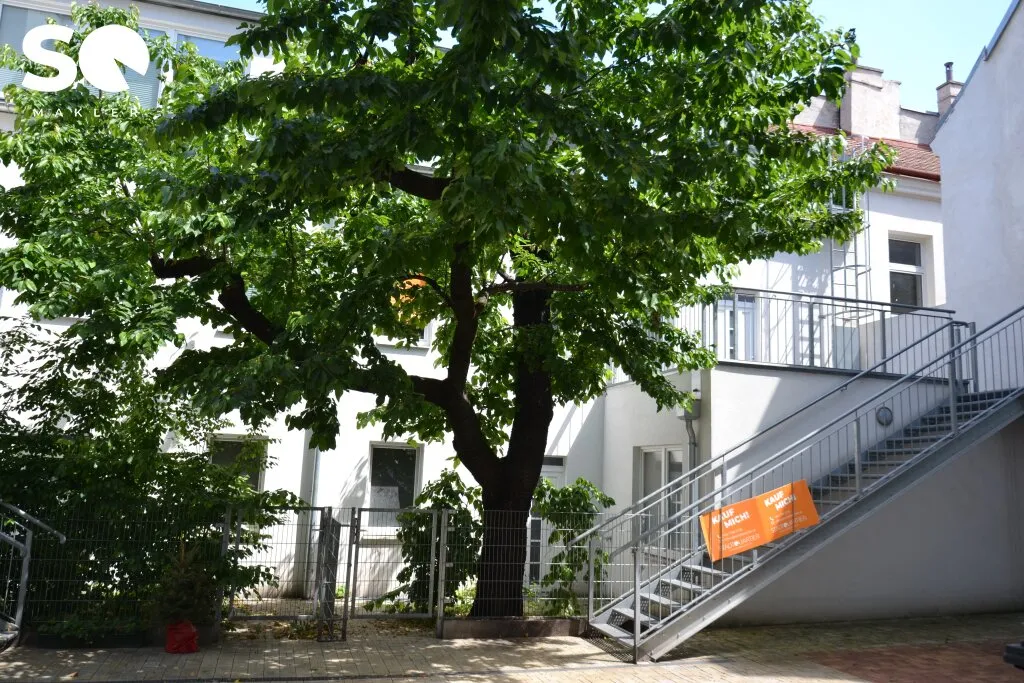 Wohnung – Wien