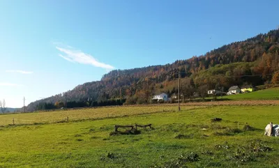 Grundstück kaufen in Sankt Veit an der Glan – 33 000 m², € 459.000 – Bild 7 von 7