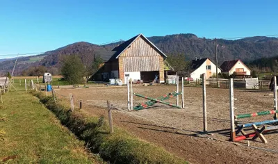 Grundstück kaufen in Sankt Veit an der Glan – 33 000 m², € 459.000 – Bild 3 von 7