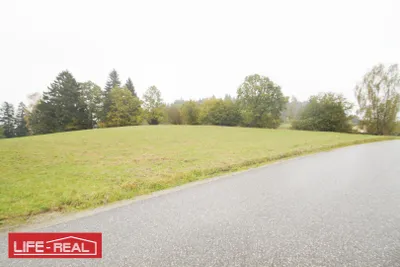 Grundstück kaufen in Rohrbach – 6 007 m², € 42.049 – Bild 2 von 4