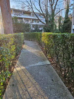 1-Zimmer-Wohnung mieten in Baden – 41 m², € 599 – Bild 3 von 22