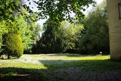Gewerbeimmobilie kaufen in Wien – 673 m² – Bild 6 von 16
