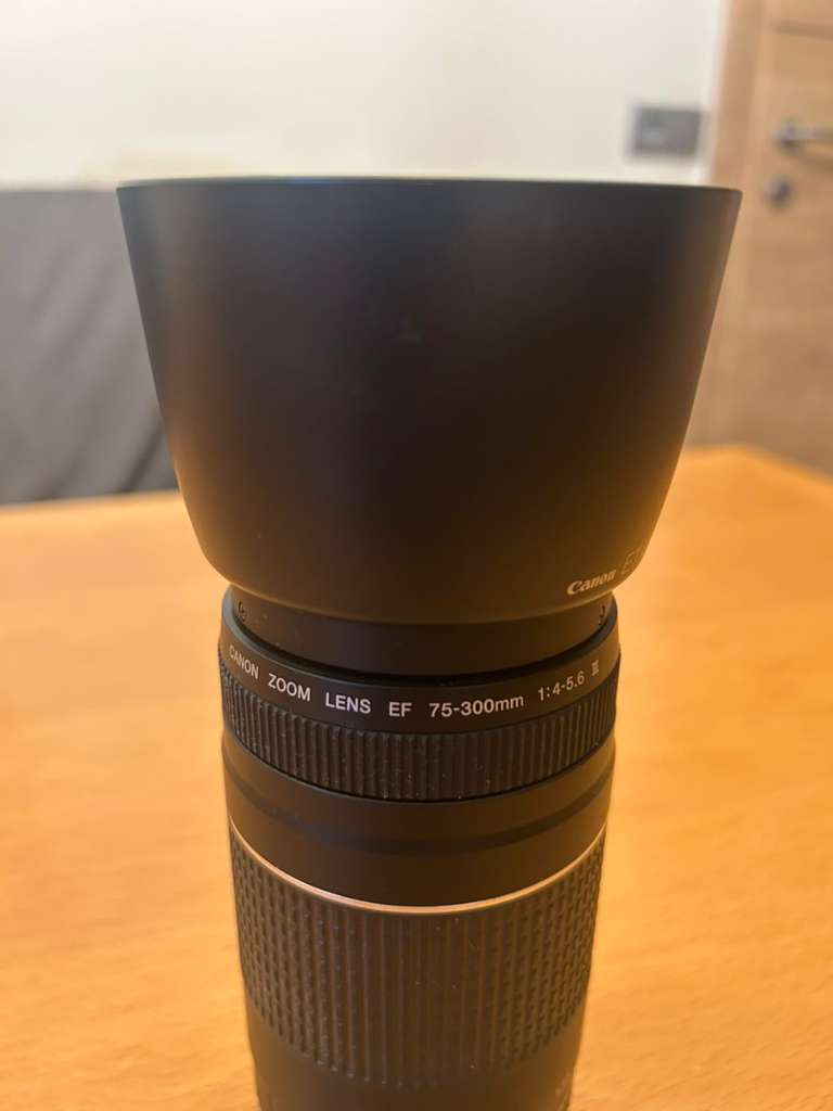 Hotsell Canon EF 75-300mm f/4-5.6 III Lens